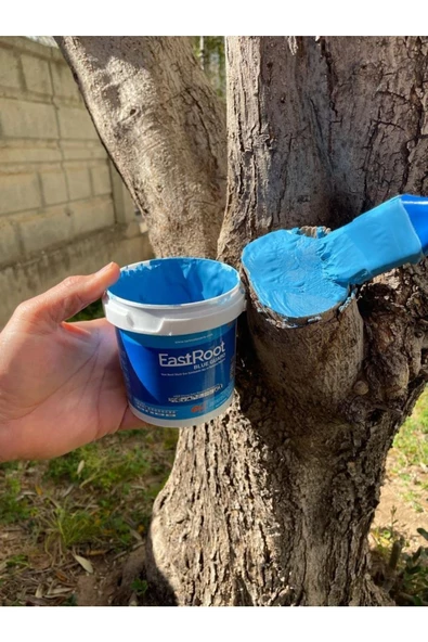 Aşı Budama Macunu 1000 gram 1 kg 1 Kilo Isıtmaya Gerek Yok Kullanıma Hazır Fırça ile Sürülebilir - 3