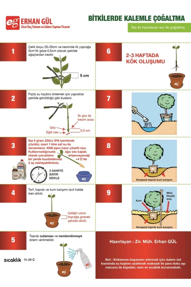 Meyve Ve Süs Ağaçlar Çelik Köklendirme Hormonu 10 gr Indol Butirik Asit Iba K - Resim 4