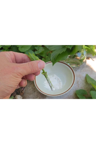 Kullanıma Hazır Meyve Ağacı Köklendirme Hormon 200 gr ( Kalem Nemlendir, Batır , Dik) Iba 2000 Ppm - 3
