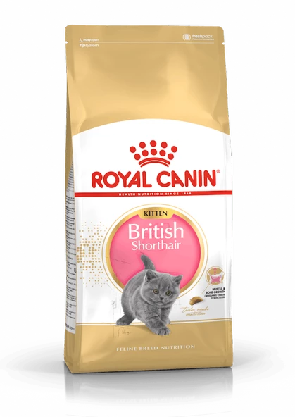 Royal Canin British Shorthair Kitten Yavru Kedi Maması 2 Kg