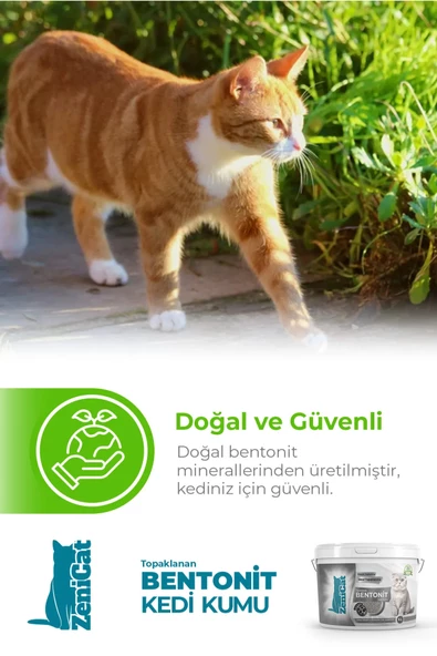 Kokulu Renkli Kedi Kumu İnce Taneli Doğal Bentonit - Resim 5