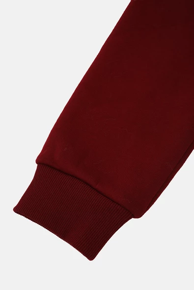 Kapüşonlu Regular Fit Next Unisex Sweatshirt Bordo - 6
