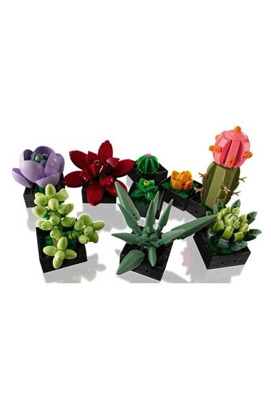 LEGO Creator Sukulentler/ Succulents 10309 - 4
