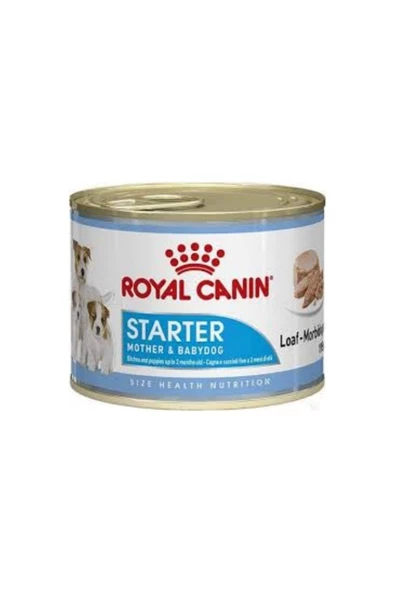 Ali The Stereo Royal Canin Starter Mousse Yavru Köpek Konservesi 195 Gr alithestereo