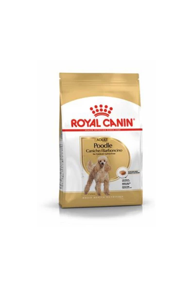 SKY TOPTAN Royal Canin Poodle Yetişkin Köpek Maması 3 Kg