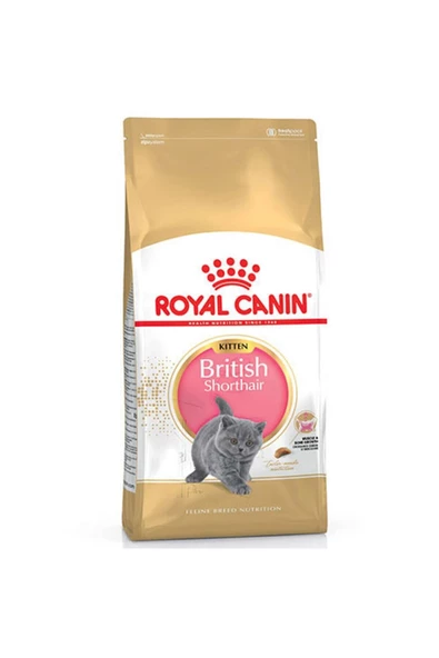 Lisinya Royal Canin British Shorthair Kitten Yavru Kedi Maması 2 Kg