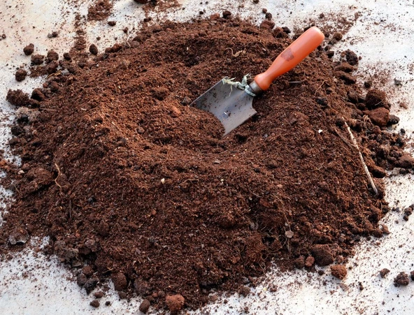 3 kğ Özel Karışım Bitki Toprağı Küpeli Çiçeği Toprağı Torfu