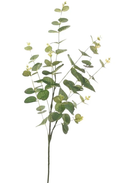 Nettenevime Yapay Çiçek Yeşil Okaliptus 90cm 5Dallı Uzun Dal Eucalyptus ürün görseli 1