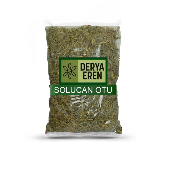 Solucan Otu Tanacetum vulgare 100 gr, Derya Eren