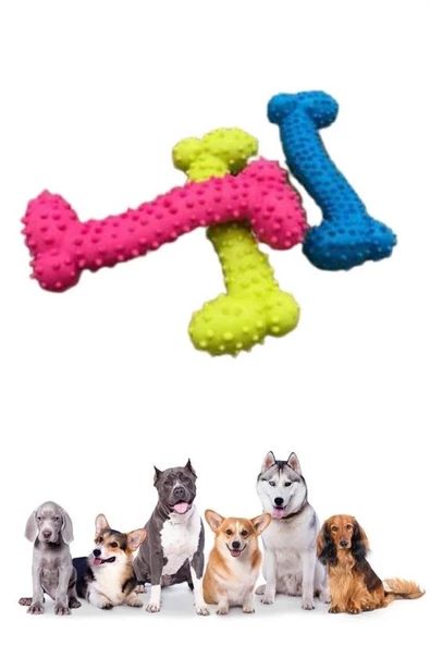 Tiny Kemik Oyuncağı Tırtıklı Yüzey Küçük Kemik Plastik Köpek Oyuncağı - 5