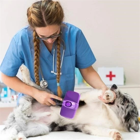 Otomatik Temizlenebilen Tuşlu Pratik Kedi Köpek Tüy Toplama Fırçası - 3