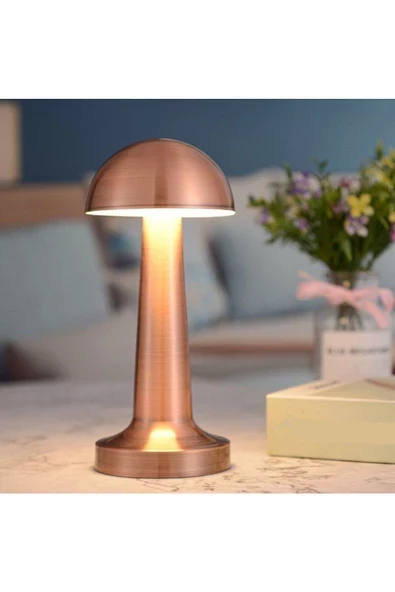 MAS ELEKTRO MAS 3 Kademeli, 3 Işık Modlu, Şarjlı, Dokunmatik Masa ve Gece Lambası, Cafe, Bar, Restorant Masa Lambası ürün görseli 1