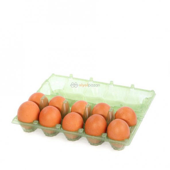 10lu Plastik Yeşil Yumurta Viyolü (400 Adet) - Resim 2