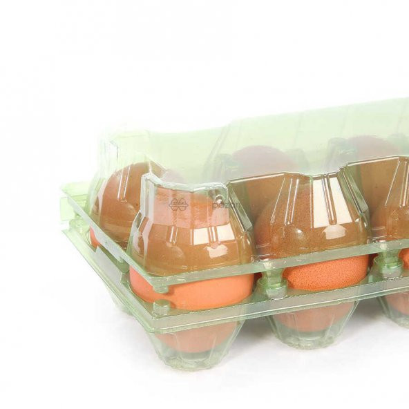 10lu Plastik Yeşil Yumurta Viyolü (400 Adet) - Resim 4