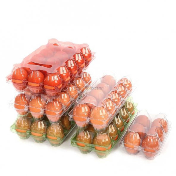 10lu Plastik Yeşil Yumurta Viyolü (400 Adet) - Resim 5