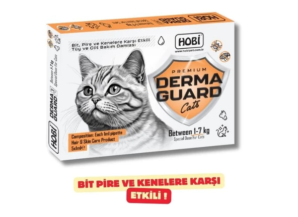 KEDİ BAKIM