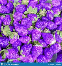 10 Adet Tohum Nadir Mor Çilek Tohumu Saksı Toprak Hediyemiz - 2