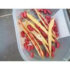 100 Adet Tohum Nadir Kırmızı Oturak Meksika Fasulyesi Fasulye Tohumu Saksı Toprak Hediyemiz - Resim 3