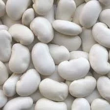 100 Adet Tohum Nadir Niğde Beyaz Fasulye Fasülye Tohumu Sürpriz Hediye Tohumlu