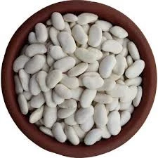 100 Adet Tohum Nadir Niğde Beyaz Fasulye Fasülye Tohumu Sürpriz Hediye Tohumlu - 3