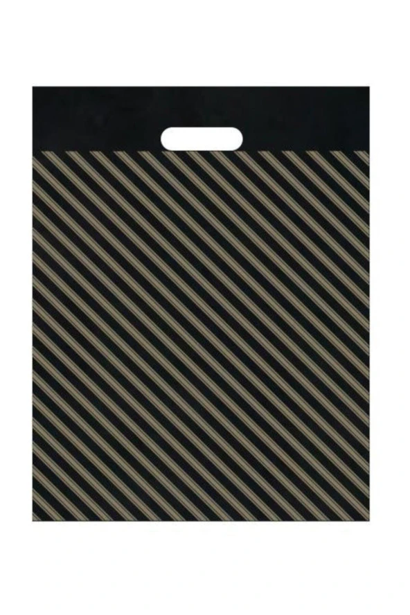 NAKSAN 2 NO DİOGANEL 50 L(İ 26X38)