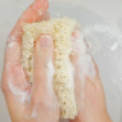 Doğal Kabak Lifi - 2