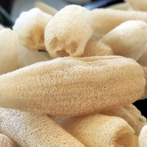 Doğal Kabak Lifi - 3