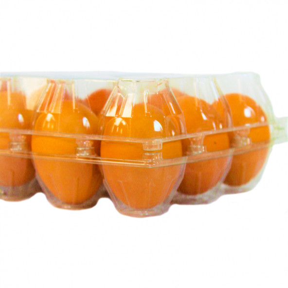 15 Lİ PLASTİK KAPAKLI YUMURTA VİYOLÜ - Resim 4