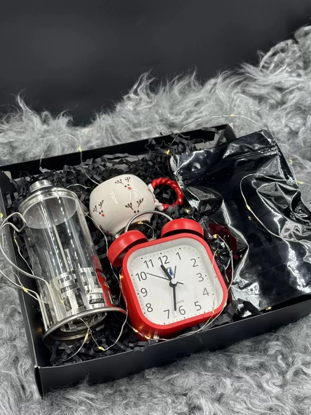 ALMİNA HEDİYE KUTUSU FRENCH 4 - 5