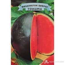 100 Adet Siyah Washinton Karpuz Tohumu Organik Ata Tohum Hediye Tohumlu - 2