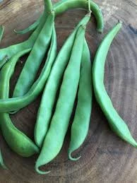 150 Adet Tohum Orjinal Ata Tohum Sarıkız Sırık Fasulye Tohumu Hobi Bahçe Taze Hasat - Resim 3