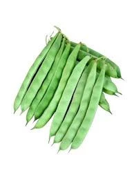 150 Adet Tohum Orjinal Ata Tohum Sarıkız Sırık Fasulye Tohumu Hobi Bahçe Taze Hasat ürün görseli 1