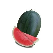 50 Adet Tohum Nadir Organik Washinton Bal Kara Siyah Karpuz Tohumu Sürpriz Hediye Tohum - 2