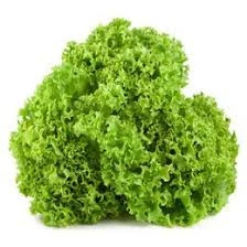 100 Adet Tohum Arap Saçı Kıvırcık Marul Tohumu Arapsaçı Marol Tohumu Saksı Toprak - 2