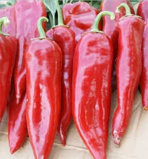 50 Adet Tohum Etli Acı Közlemelik Biber Tohumu Kırmızı Kebap Biberi - Resim 3