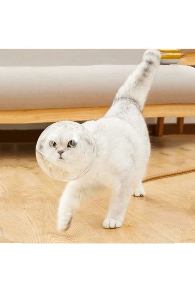 Kedi Şeffaf Astranot Kask Yakalık 1 Adet - 7