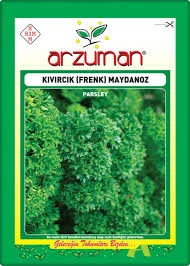 1 Paket Arzuman Kıvırcık Frenk Maydanoz Maydonoz Tohumu Hediye Tohumludur