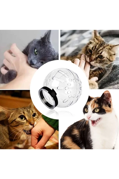 Kedi Şeffaf Astranot Kask Yakalık 1 Adet - 8