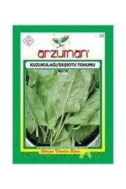 1 Paket Arzuman Kuzu Kulağı Otu Ekşi Otu Tohumu Sürpriz Hediye Tohgumlu