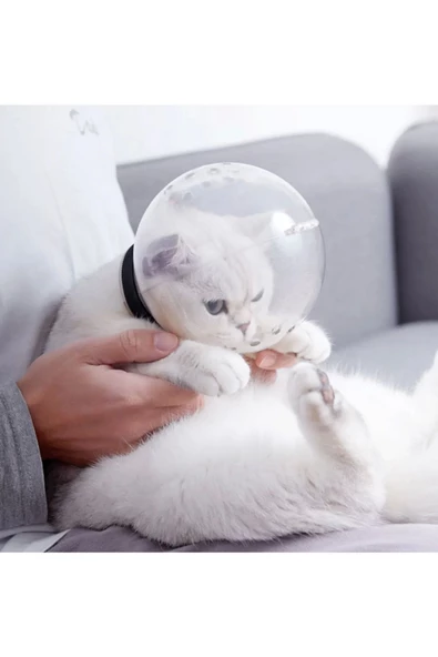 Kedi Şeffaf Astranot Kask Yakalık 1 Adet - 6