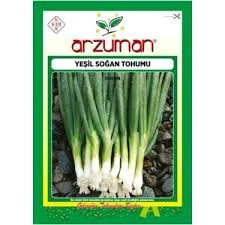 1 Paket Tohum Organik Hasat Arzuman Taze Firik Soğan Tohumu Hediye Tohumlu - Resim 2