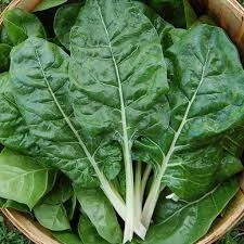 200 Adet Tohum Nadir Pazı Tohumu Börek Ispanağı Pazı Hediye Tohumlu - 3