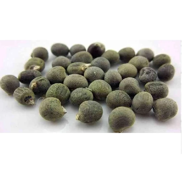 Bamya Tohumu Yenilebilir İlaçsız 1 kg, Derya Eren - 2