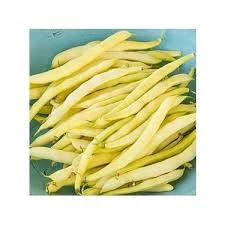 1 Paket Arzuman Hanıman Hanımeli Turşuluk Fasulye Fasülye Tohumu Hediye Tohumlu - 2