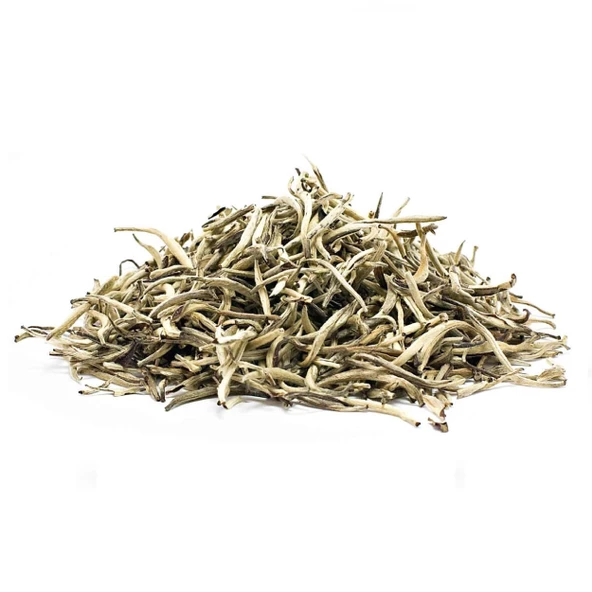 Beyaz Çay Camellia sinensis 1 kg, Derya Eren - Resim 2
