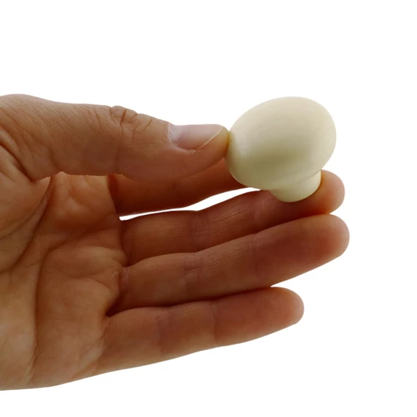 Kamelya Kulp Krem Polimer Düğme Kulp Mantar Mobilya Mutfak Dolabı Çekmece Kulbu Kulpları - Resim 4