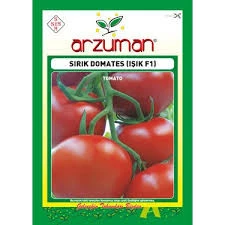 1 Paket Tohum F1 Kırmızı Sırık Domates Tohumu Hediye Tohumlu