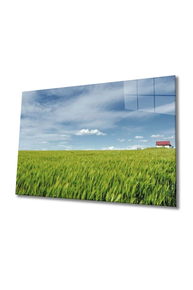 Çimen Dekoratif ve Modern Cam Tablo ürün görseli