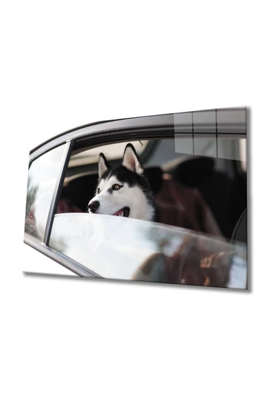 Köpek 4 Dekoratif ve Modern Cam Tablo