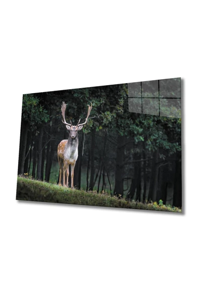 Geyik Dekoratif ve Modern Cam Tablo ürün görseli
